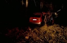 В Алексине молодой человек перевернулся на «Хонде», после чего врезался в дерево