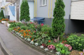 В Туле стартовал конкурс на самый чистый двор: победителям до 150 тысяч