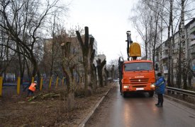 В Пролетарском районе Тулы убрали мусор на двух улицах
