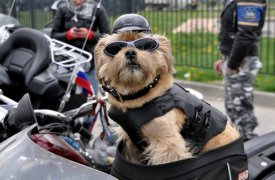23 апреля в Туле стартует байкерский сезон