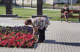 Тулячка отработает 100 часов за неуплату алиментов