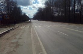 Под Тулой в результате ДТП пешеход погиб на месте, а водитель улетел в кювет и перевернулся