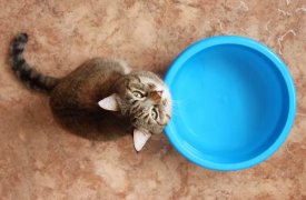 19 апреля в Туле не будет воды на Красноармейском проспекте