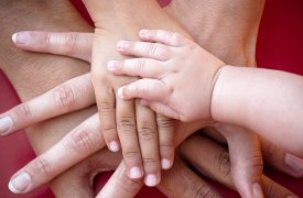 Туляки стали реже вступать в браки и рожать детей