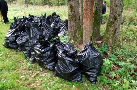 Тулу убирают 76 единиц техники