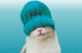 Туляки мёрзнут: на улице +12°
