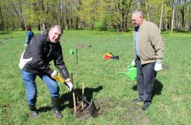 В Богородицком Дворце-музее и парке высадили плодовые деревья
