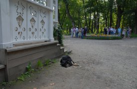 Музей-усадьба Ясная Поляна приглашает к участи в международной акции «Ночь музеев»