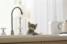 Какие дома останутся без воды в первый день лета?