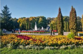В Тульском парке открыли площадку для особенных детей