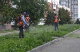 За минувшую неделю в Туле убрали более 2,6  тыс. куб. метров свалок