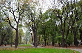 В Рогожинском парке Тулы очистят пруд