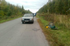 В Тульской области водитель «Волги» сбил велосипедиста