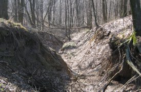 В овраге под Ефремовым нашли труп мужчины, пролежавший там три месяца