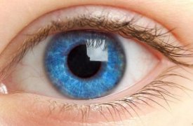 Жителей Тульской области обследуют во Всемирный день зрения