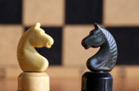 Тульских школьников научат ходить конем