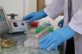 В Туле тест ДНК освободил мужчину от алиментов