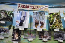 В Тульском экзотариуме проходит фотовыставка «Дикая Тула»