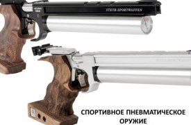 Завершилось областное первенство по стрельбе из пневматического оружия