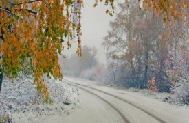 1 ноября высота снежного покрова в Туле может составить 5 см