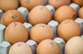 В детском саду «Ромашка» детей кормили просроченными яйцами