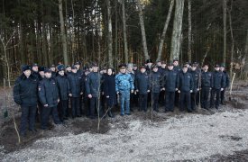 Тульские полицейские высадили деревья в Ясной поляне