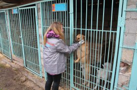 Тульская молодёжь приняла участие в субботнике в приюте для животных