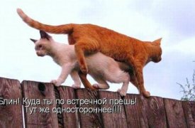 С 1 декабря на ул. С. Перовской в Туле будет введено одностороннее движение