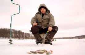 Интернет лишился еще одного сайта с электроудочками благодаря узловским обвинителям