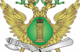 Житель Тульской области пойдет под суд за распускание рук