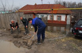 Новые правила обяжут владельцев земельных участков убирать мусор и косить траву