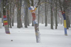 Погода в Туле 20 февраля: самый тёплый день недели