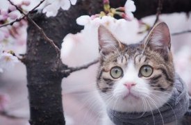 Стало известно, когда в Тулу придет весна