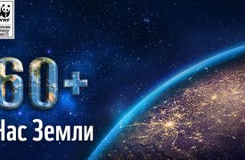 Тульская область присоединилась к международной акции «Час Земли»