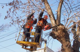 30 марта на улице Волнянского в Туле ограничено движение и стоянка автотранспорта