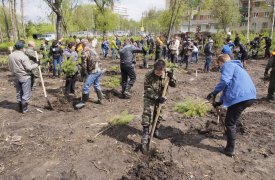 Весной Тула утонет в зелени: к посадке готовят 11500 деревьев