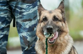 В Туле нашли бомбу с надписью «Мы убьём весь мир»