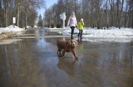 В Туле в пятницу, 6 апреля, ожидается до +12°