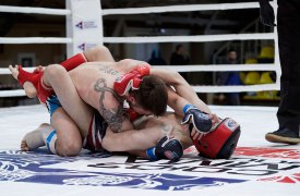В Туле впервые проходят чемпионат и первенство ЦФО по смешанному боевому единоборству ММА