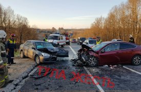 Утром под Тулой 3 машины разбились в ДТП из-за перебегающего дорогу лося