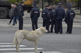 8 мая на ул. Пушкинской будет ограничена остановка и стоянка транспорта