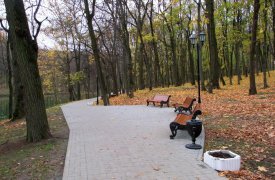 Второй этап благоустройство Платоновского парка завершат ко Дню города