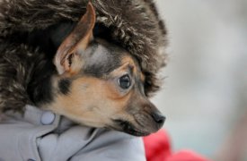 В выходные туляков ждут заморозки ночью и солнце днем