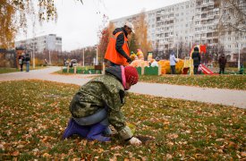 В сквере «Тульское чаепитие» высадили крокусы и тюльпаны