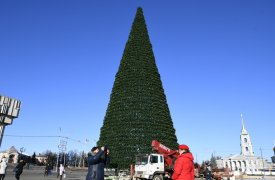 Зелёная, пушистая: на площади Ленина устанавливают новогоднюю ёлку. ФОТО