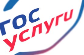 За 2018 год число обращений туляков на портал Госуслуг увеличилось вдвое