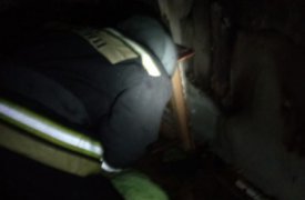 Из пожара в квартире в поселке Бородинский спасли 11 человек
