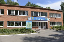 Кишечная инфекция в 