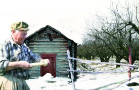 Март – «горячая» пора садоводов: какие дачные работы предстоят тулякам