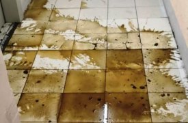 Три подъезда тульской многоэтажки регулярно заливают фекалиями